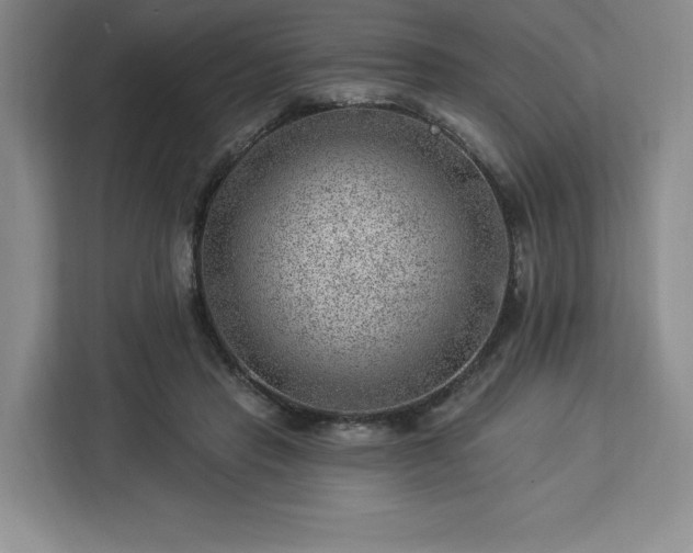 X0000112920453200908311300