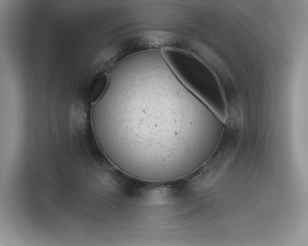 X0000112920456200908311300