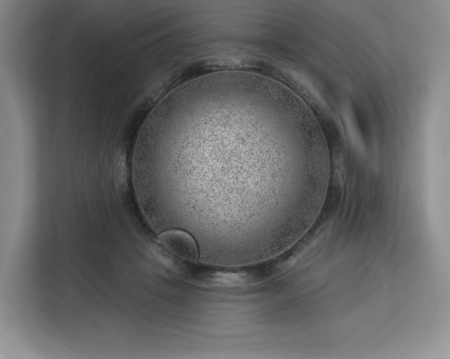 X0000112920457200908311300