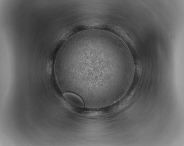 X0000112920458200908311300