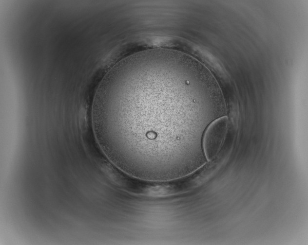 X0000112920461200908311300