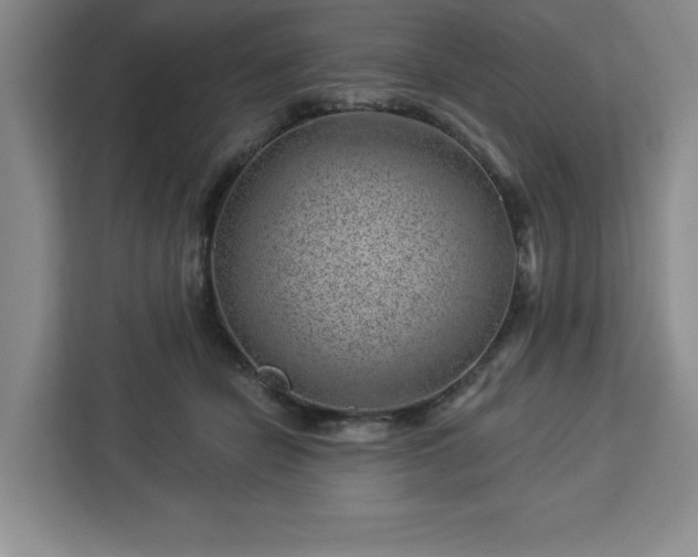 X0000112920462200908311300