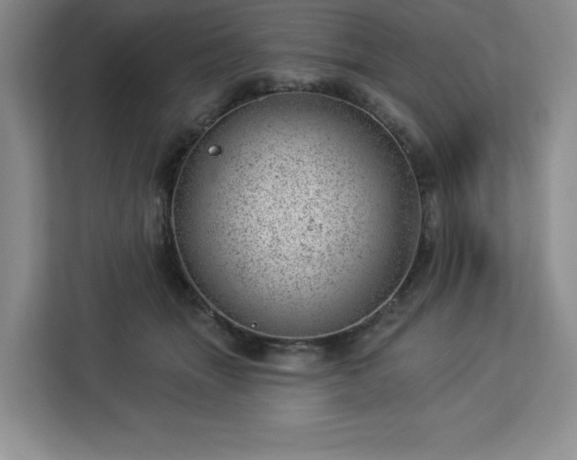 X0000112920463200908311301