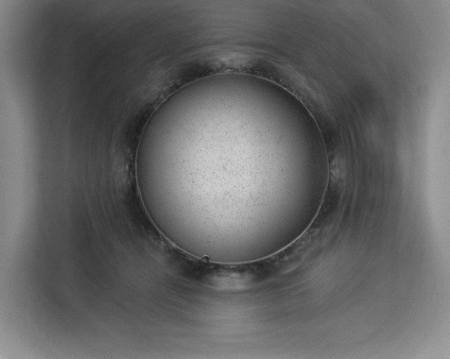 X0000112920464200908311301