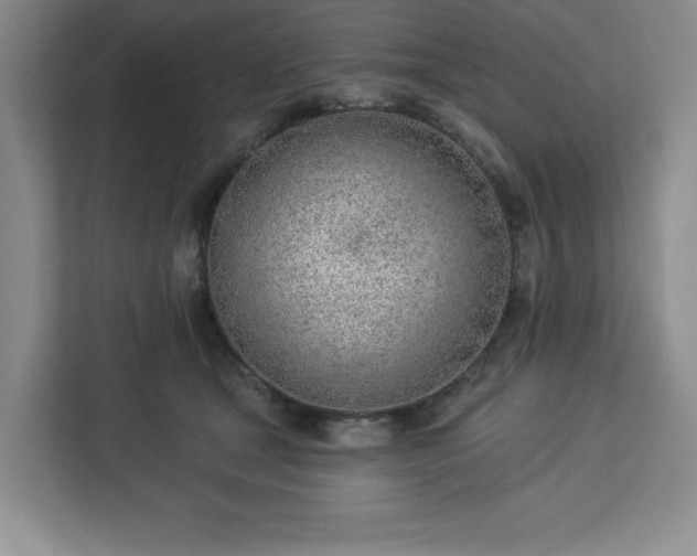 X0000112920465200908311301