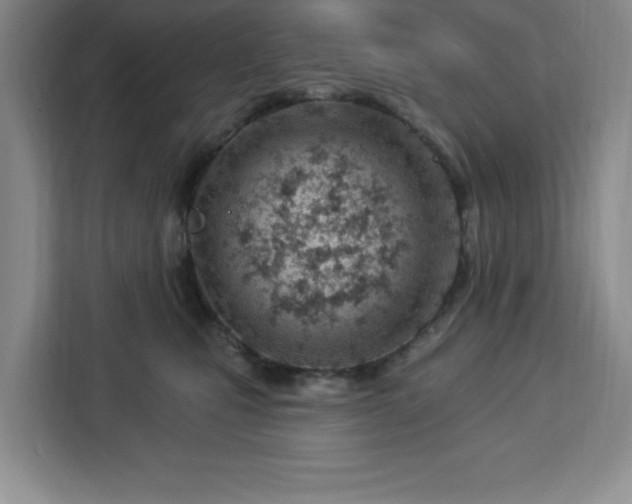 X0000112920471200908311301