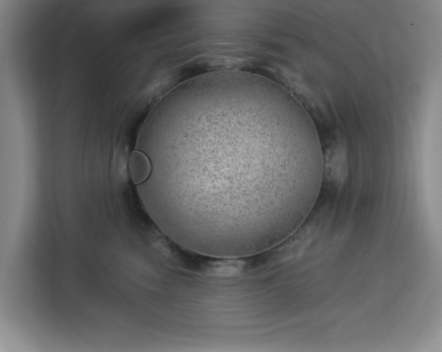 X0000112920474200908311301
