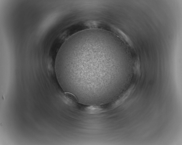 X0000112920477200908311301