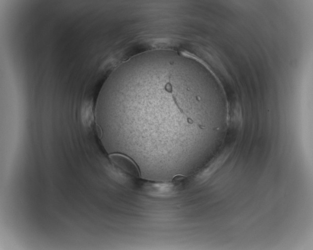 X0000112920478200908311301