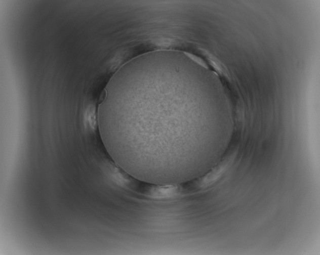 X0000112920479200908311301