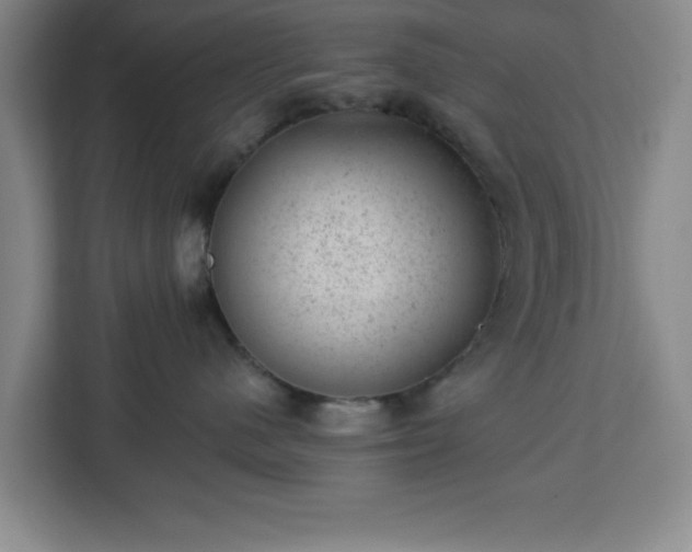X0000112920480200908311301