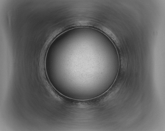 X0000112920481200908311300