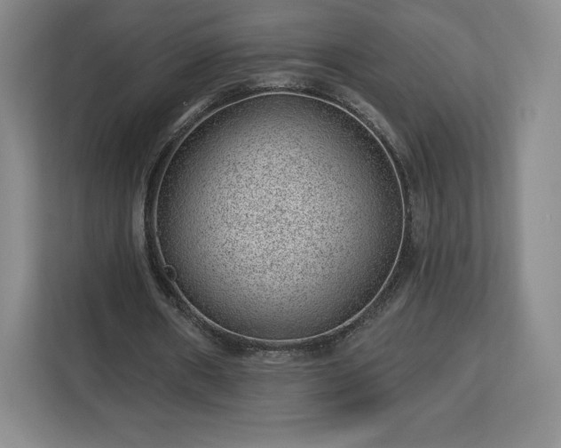 X0000112920482200908311300