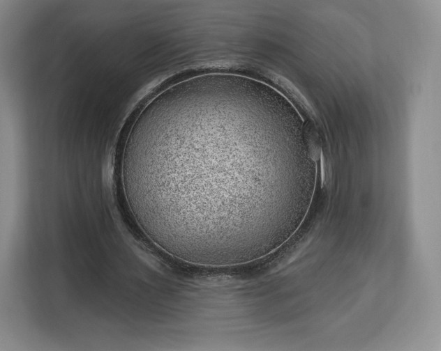 X0000112920483200908311300