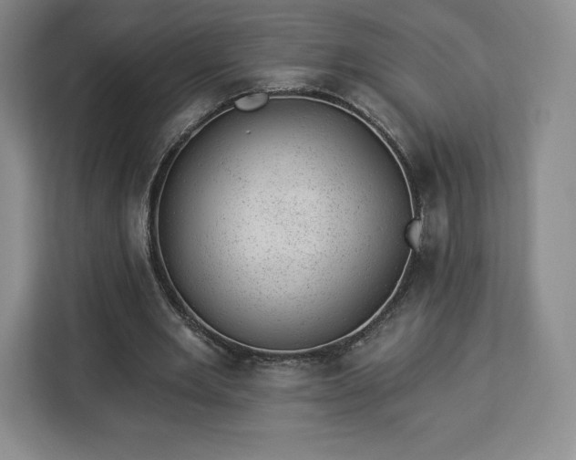 X0000112920485200908311300
