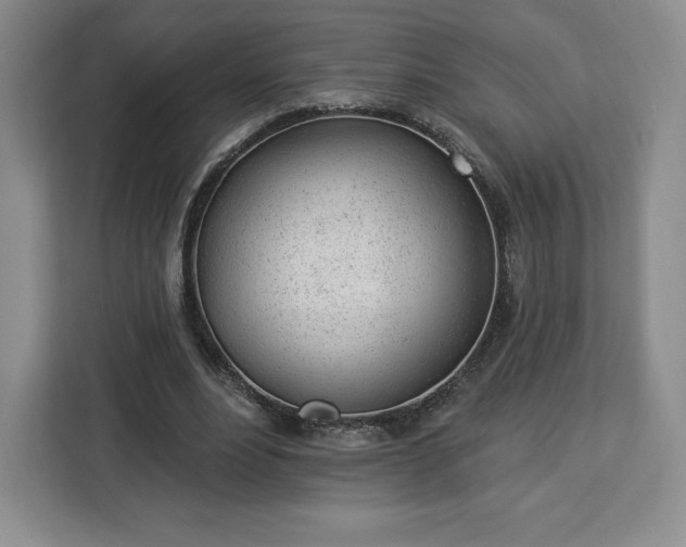 X0000112920488200908311300