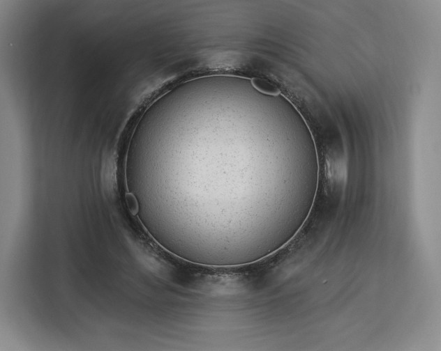 X0000112920492200908311300