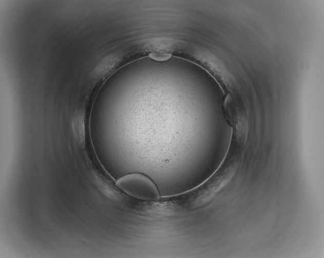 X0000112920493200908311300