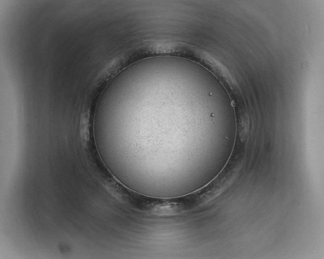 X0000112920497200908311300