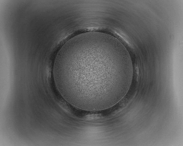 X0000112920499200908311300