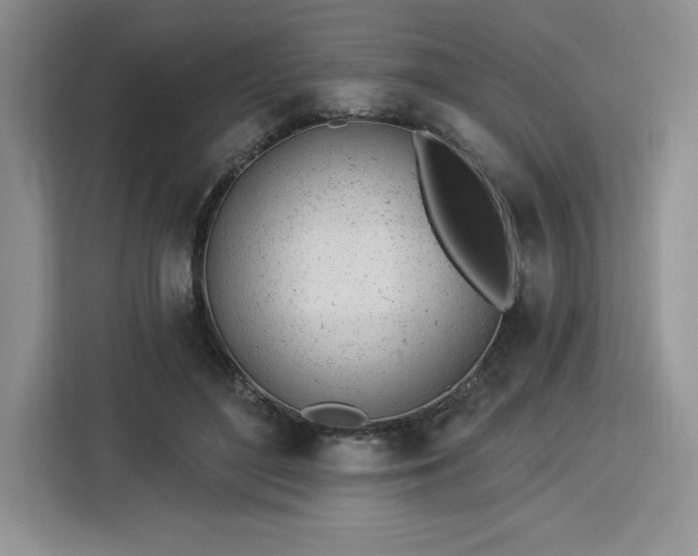 X0000112920500200908311300