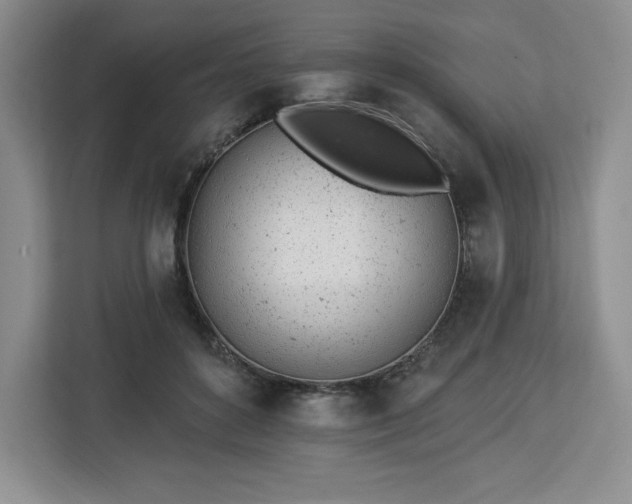 X0000112920504200908311300