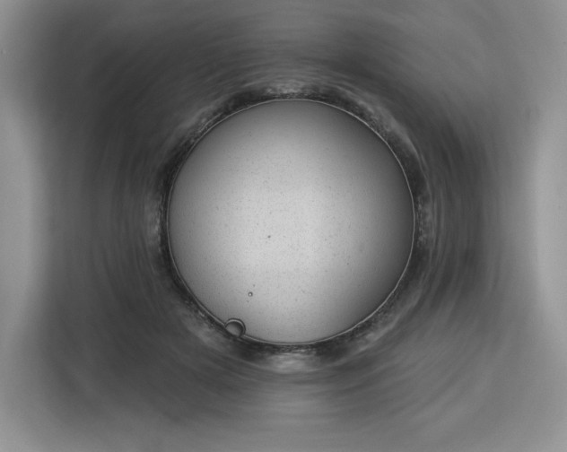 X0000112920505200908311300
