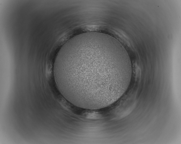 X0000112920507200908311300