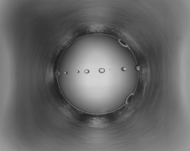 X0000112920508200908311300