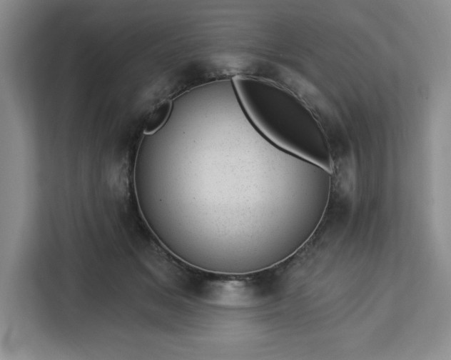 X0000112920509200908311300