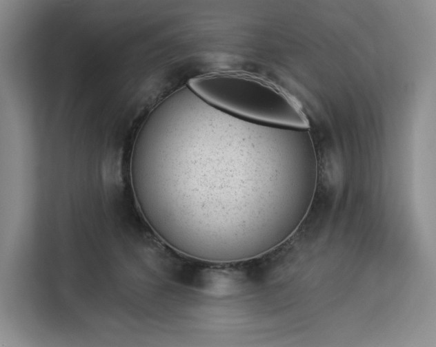 X0000112920512200908311300