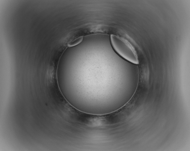X0000112920513200908311300