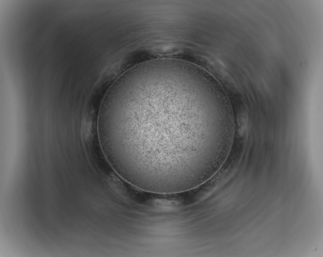 X0000112920515200908311300