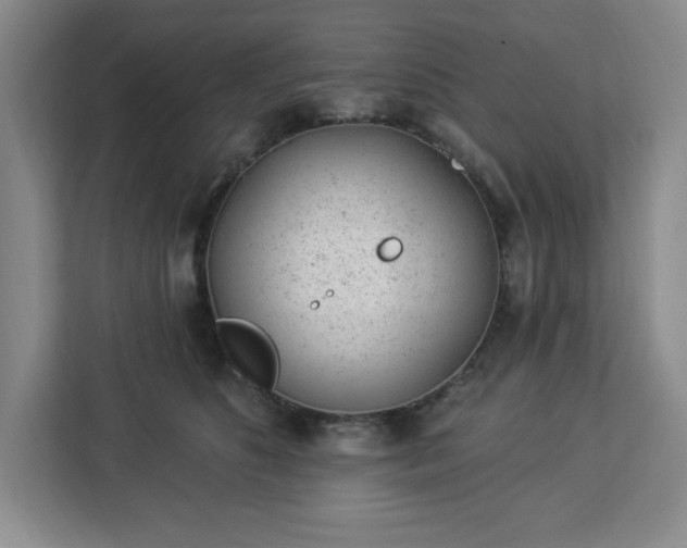 X0000112920516200908311300