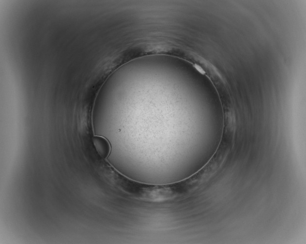 X0000112920517200908311300