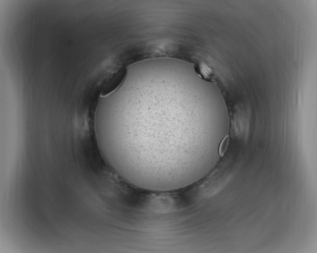X0000112920520200908311300