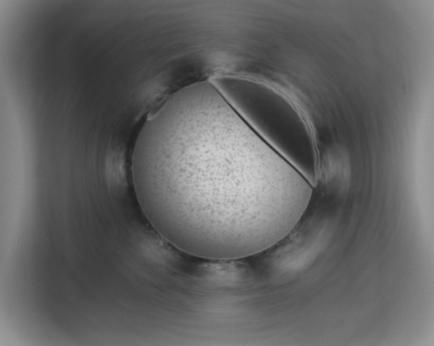 X0000112920524200908311300