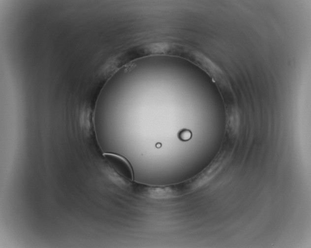 X0000112920525200908311300