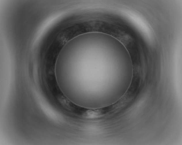 X0000112920526200908311300