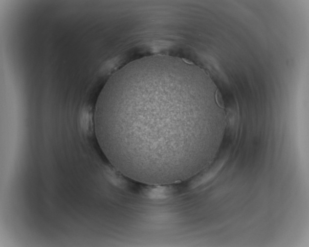 X0000112920527200908311259
