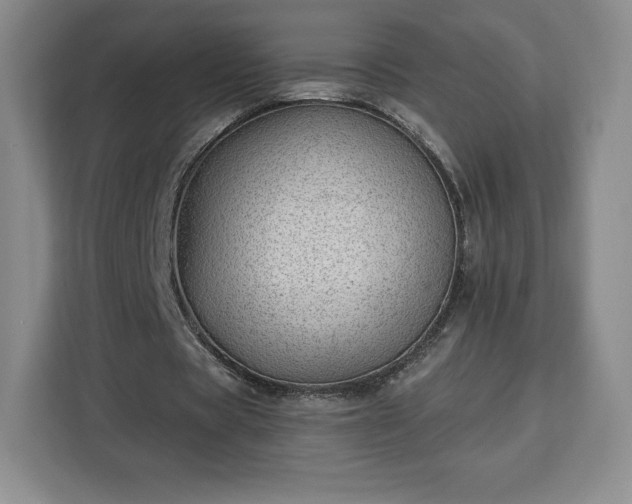 X0000112920529200908311259