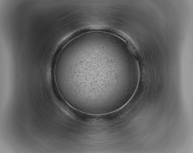 X0000112920535200908311259