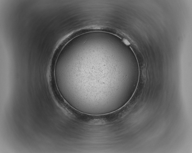 X0000112920536200908311259