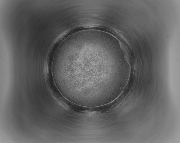 X0000112920539200908311259