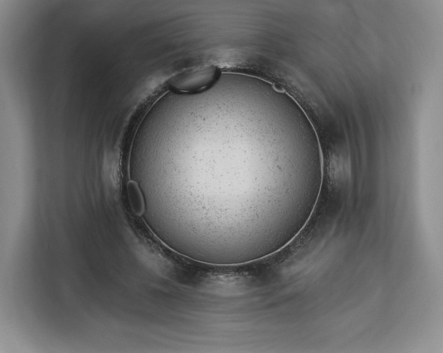 X0000112920540200908311259