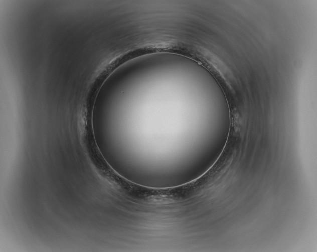 X0000112920544200908311259