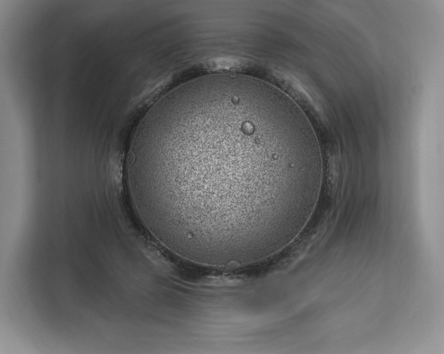 X0000112920545200908311259