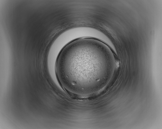 X0000112920548200908311259