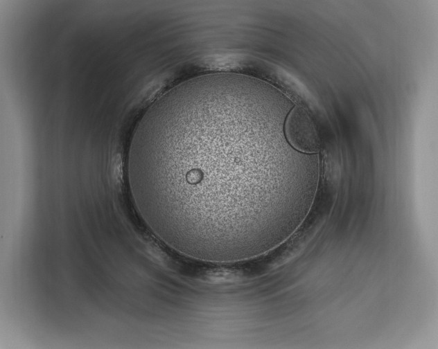 X0000112920549200908311259