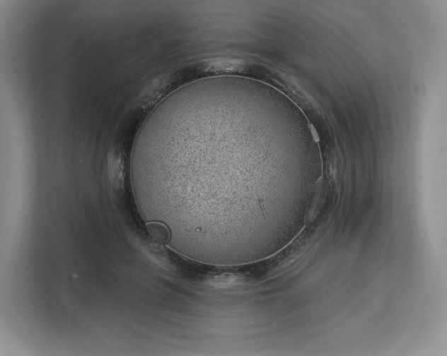 X0000112920551200908311259